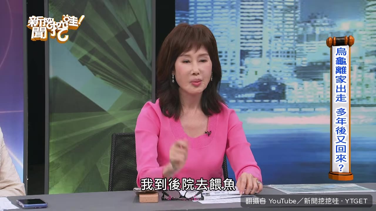 夏光莉發現長滿青苔的大烏龜