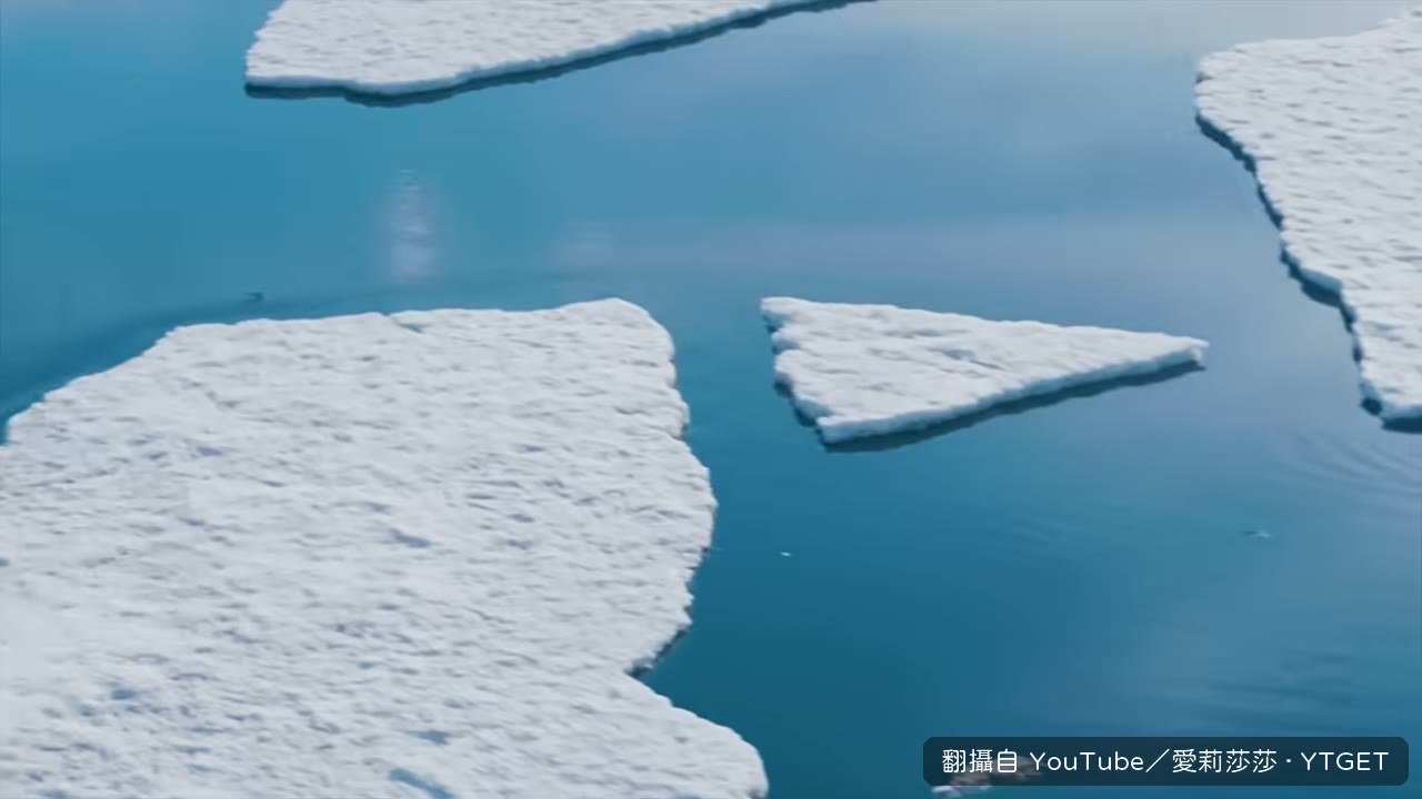 廣播一響，全船衝甲板看北極熊