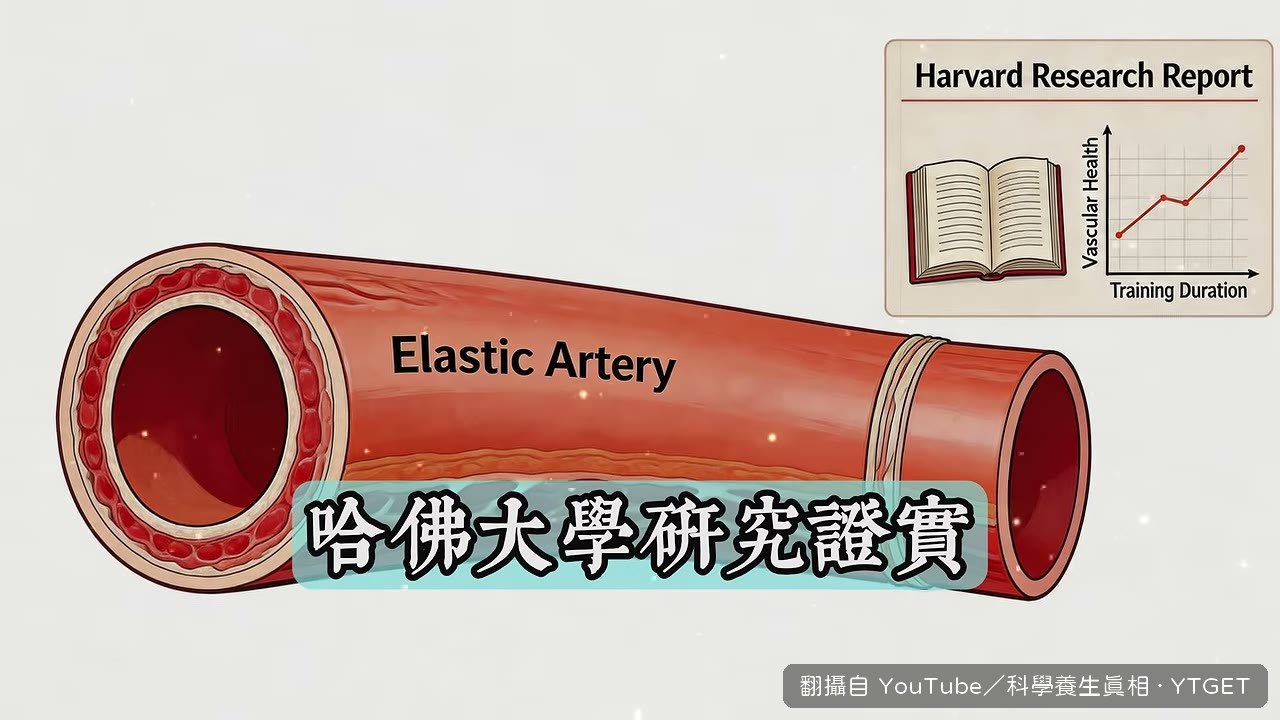 哈佛研究談血壓與血管彈性