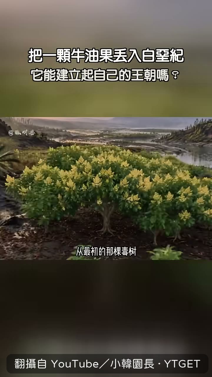 河谷變成整片牛油果森林