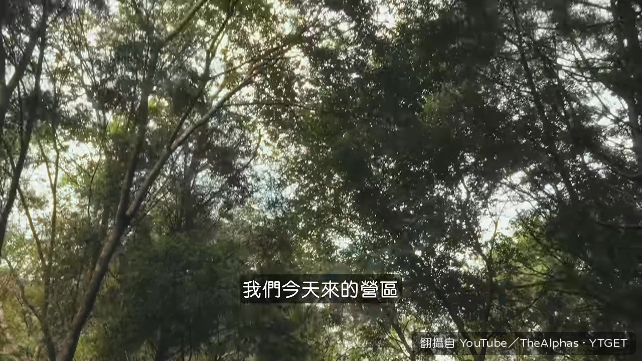 營主解釋熊老大的由來
