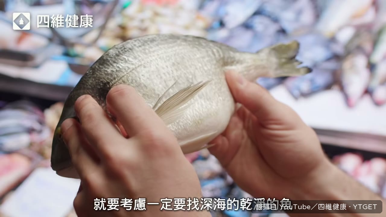 非深海非有機的鮭魚汙染物最多
