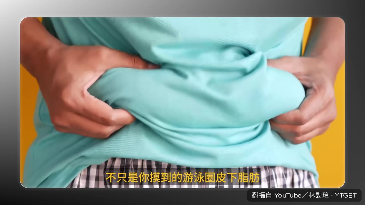 內臟脂肪長在肝臟和腎臟周圍