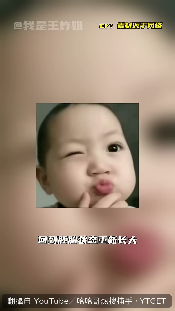 有人把燈塔水母做成職場通話