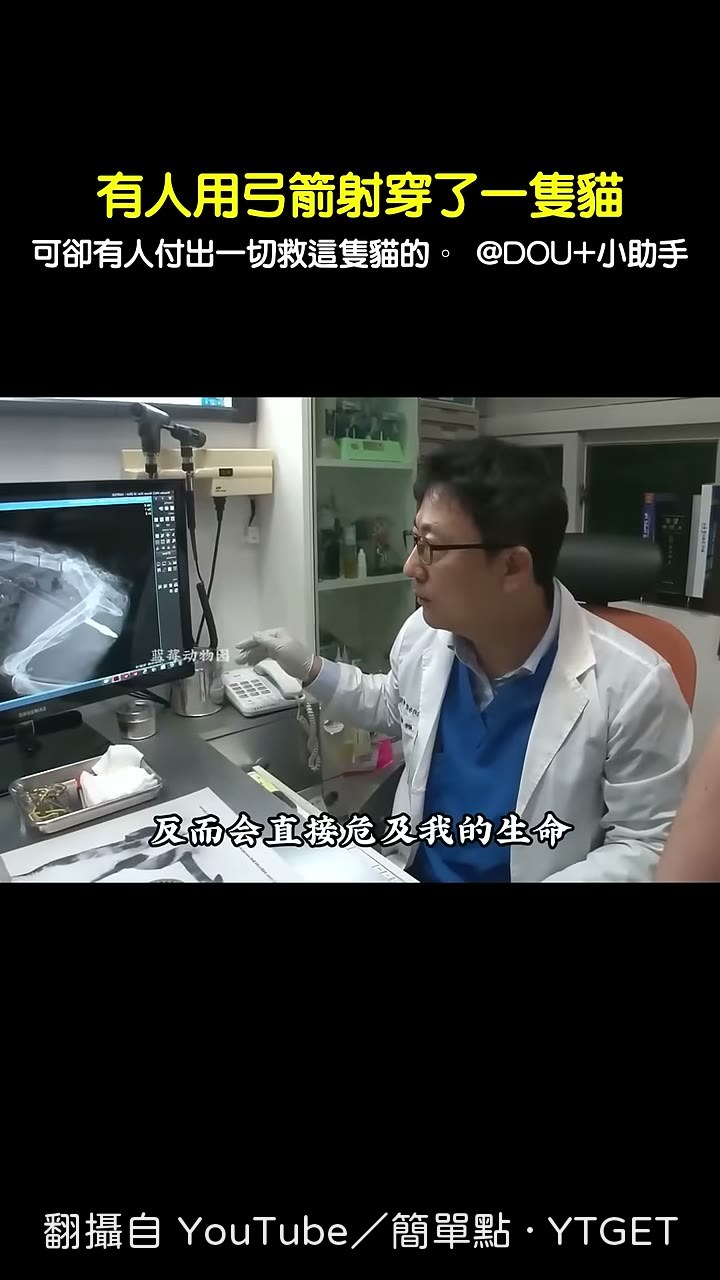 獸醫用導管替代箭桿