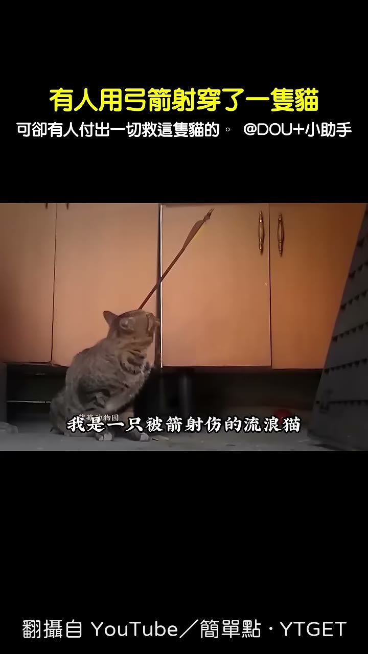 箭從肚子一側穿進去