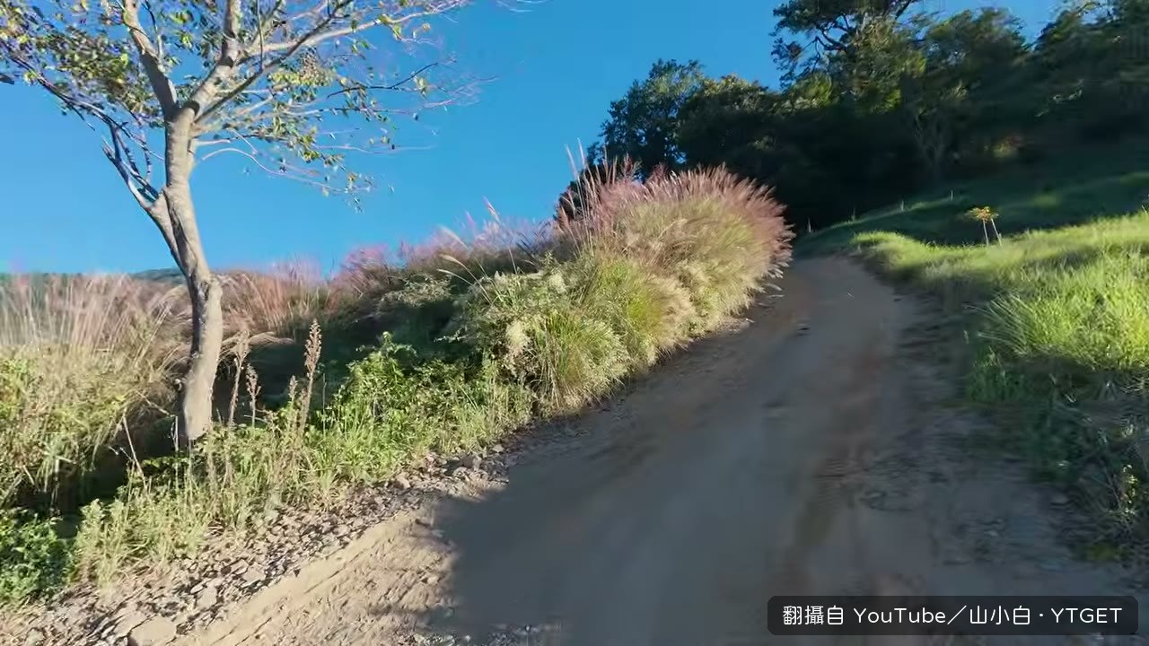 清晨六點多從南湖登山口出發