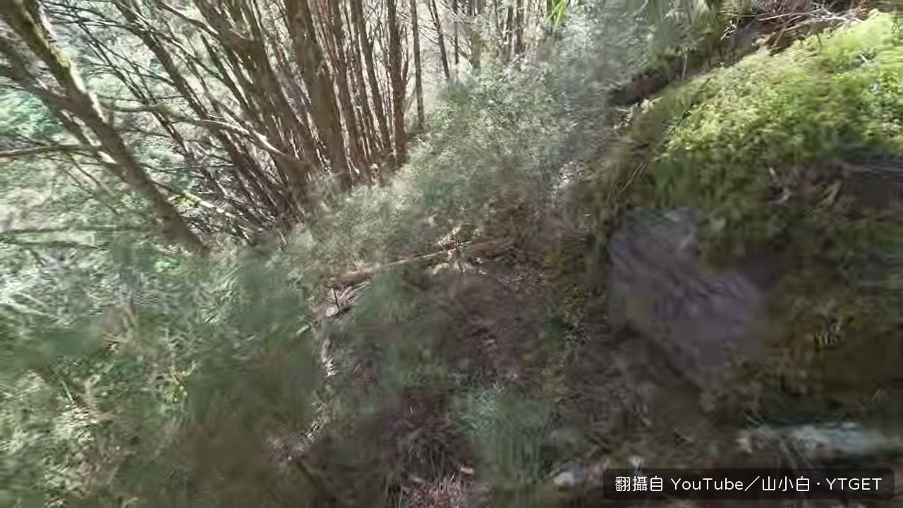 下切遇到陡坡只能腰繞找路