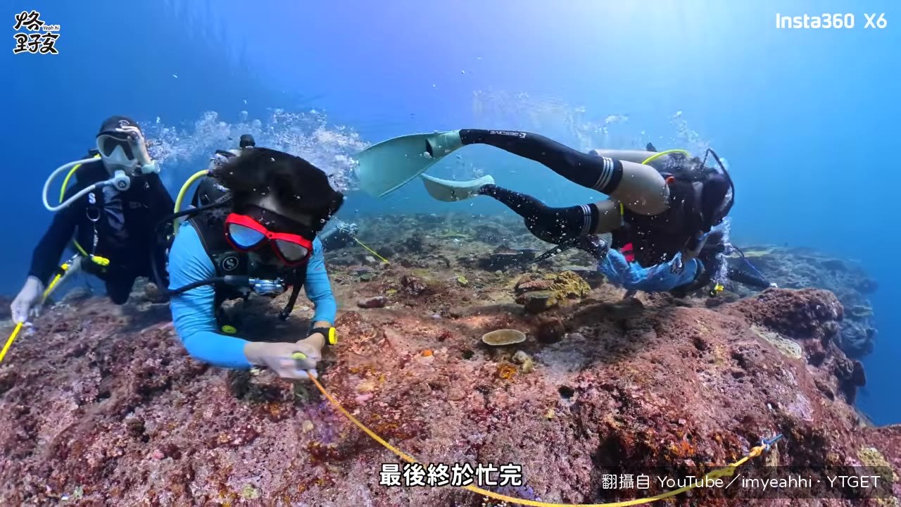 Shotgun 大合影