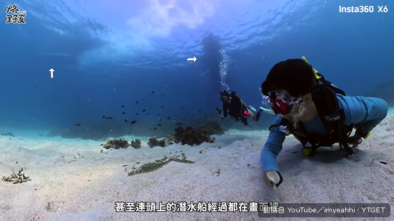 鰻鯰球抱團防禦