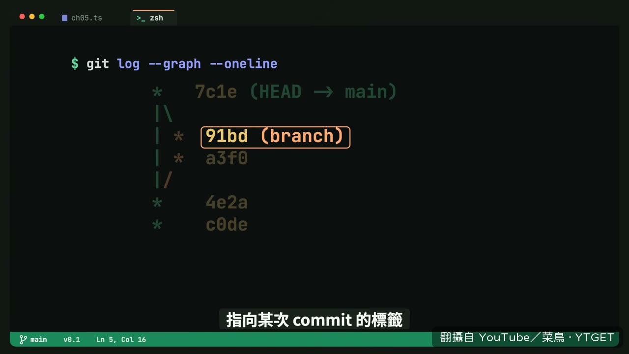 開一條分支只要寫入 41 bytes