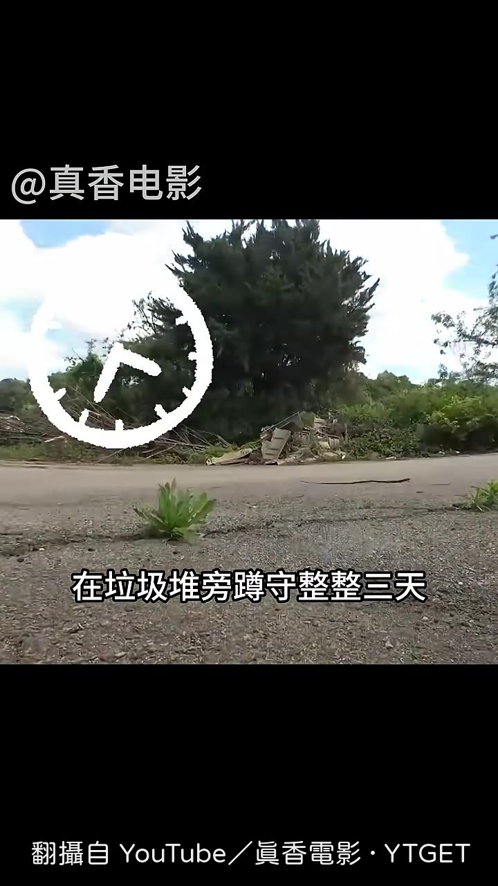 藍色生物從垃圾堆探出頭