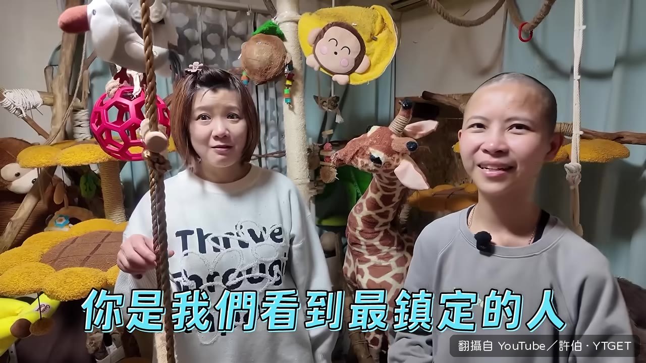 飼主分享自己以五年為單位過人生