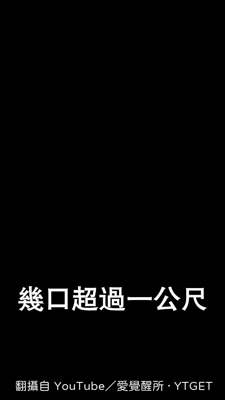 總舖師揮鐵鏟，大鼎熱氣蒸騰