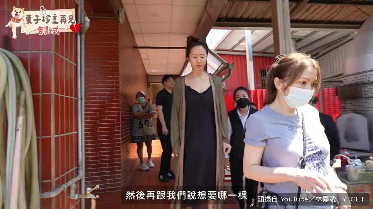 挑選樹葬地點,選了陰涼的位置