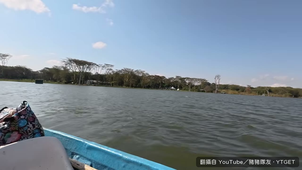 老鷹飛來吃魚,船上的人搶拍