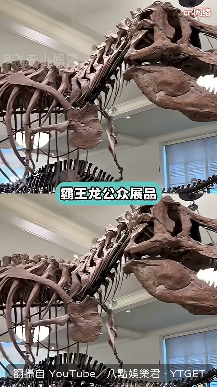 教科書插圖全跟著抄錯的骨架