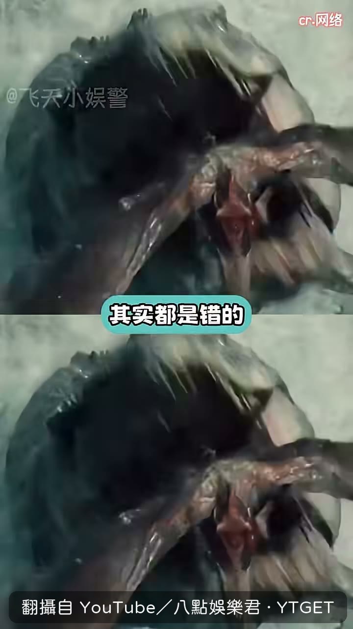 1902年第一具霸王龍化石出土