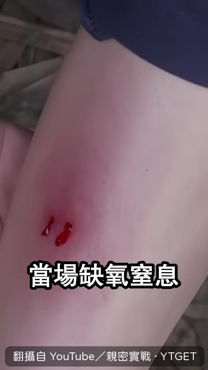 鎖鏈蛇受驚時會像破風輪胎狂噴氣