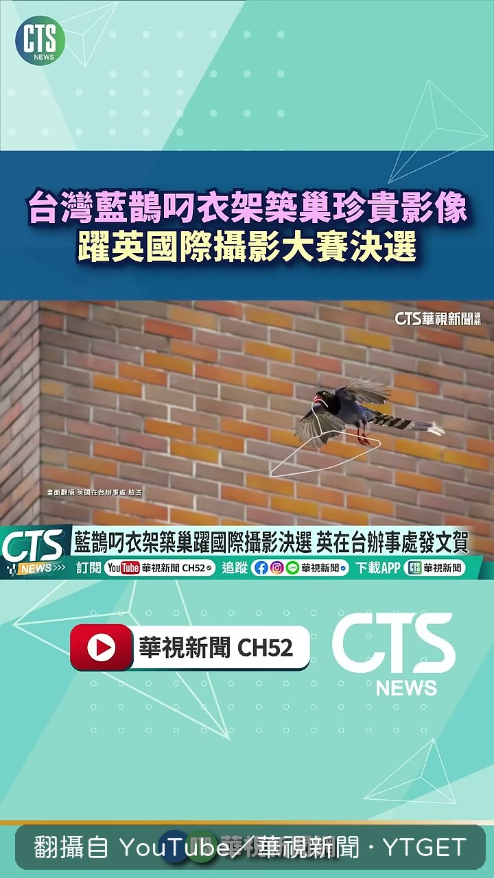 入選倫敦攝影大賽決選