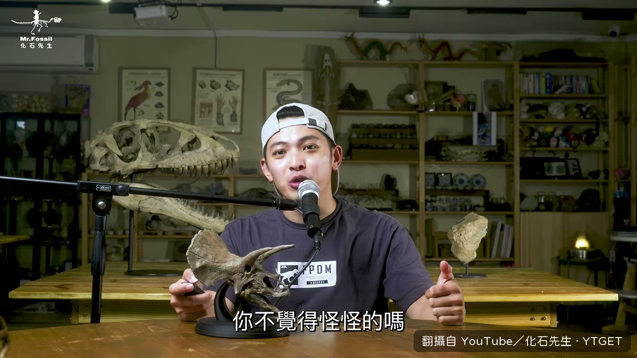 戴博拉先想好全能龍再找證據