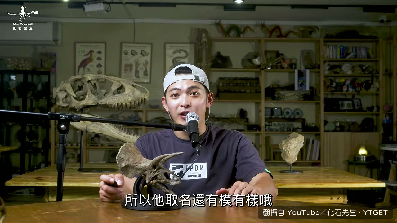 三條腿加長刺的拼裝怪物