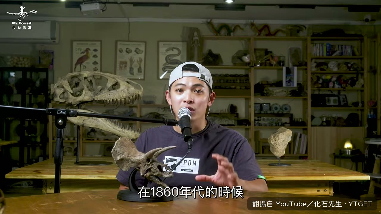 科普把長脖子當成尾巴