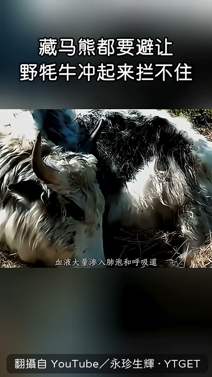 口鼻噴血,肺已經被跑壞了