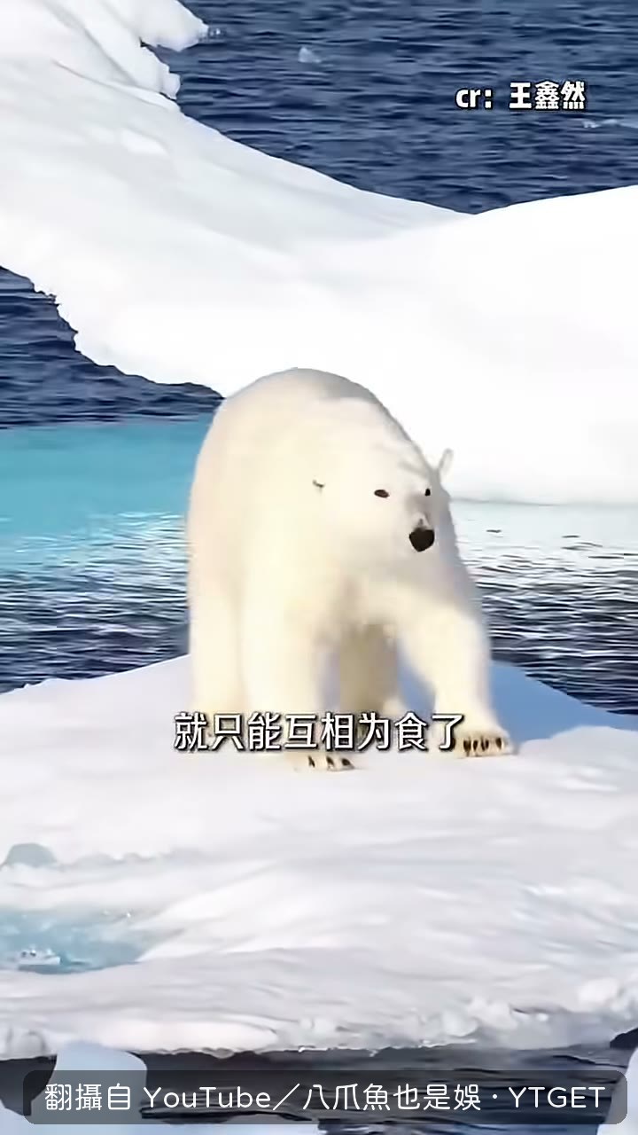 環境不適合時牠們會主動停止生育