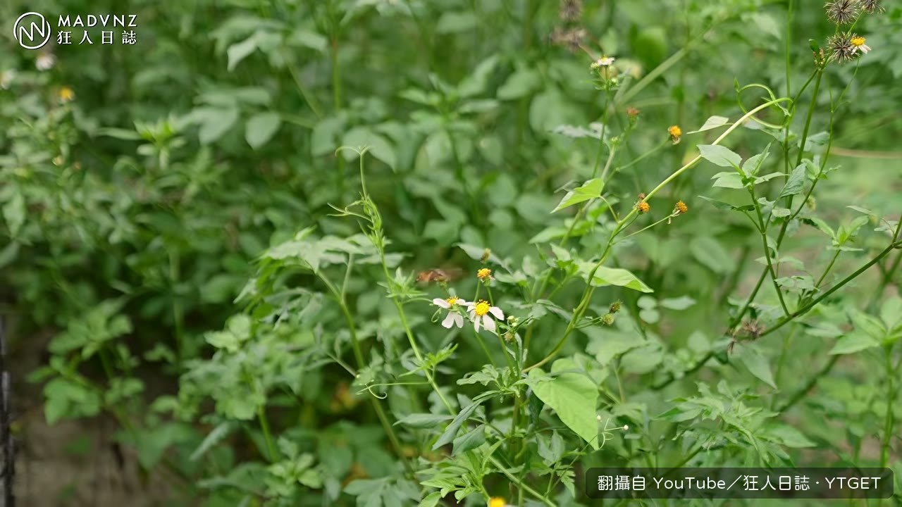 進入原始土路遇到大坑