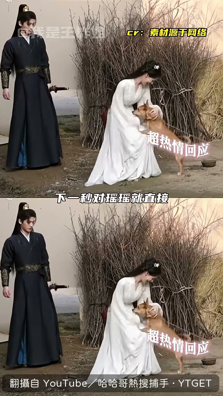 狗狗直接撲上瑤瑤討摸