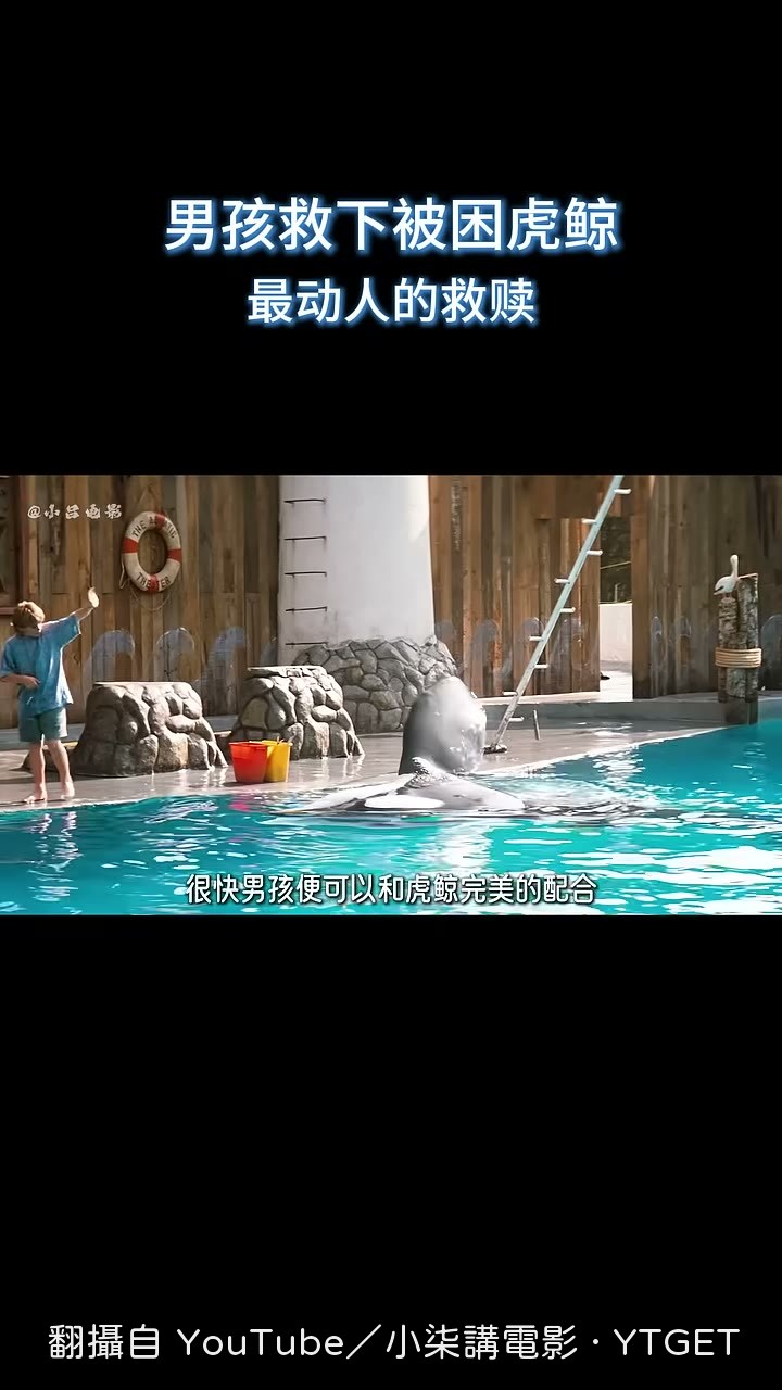 男孩騎著虎鯨在水中暢遊