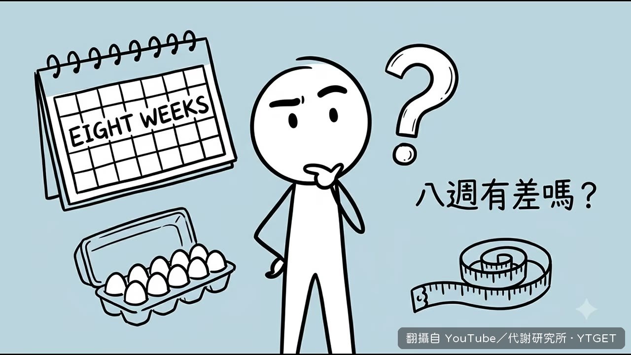 八週實驗的關鍵在熱量赤字