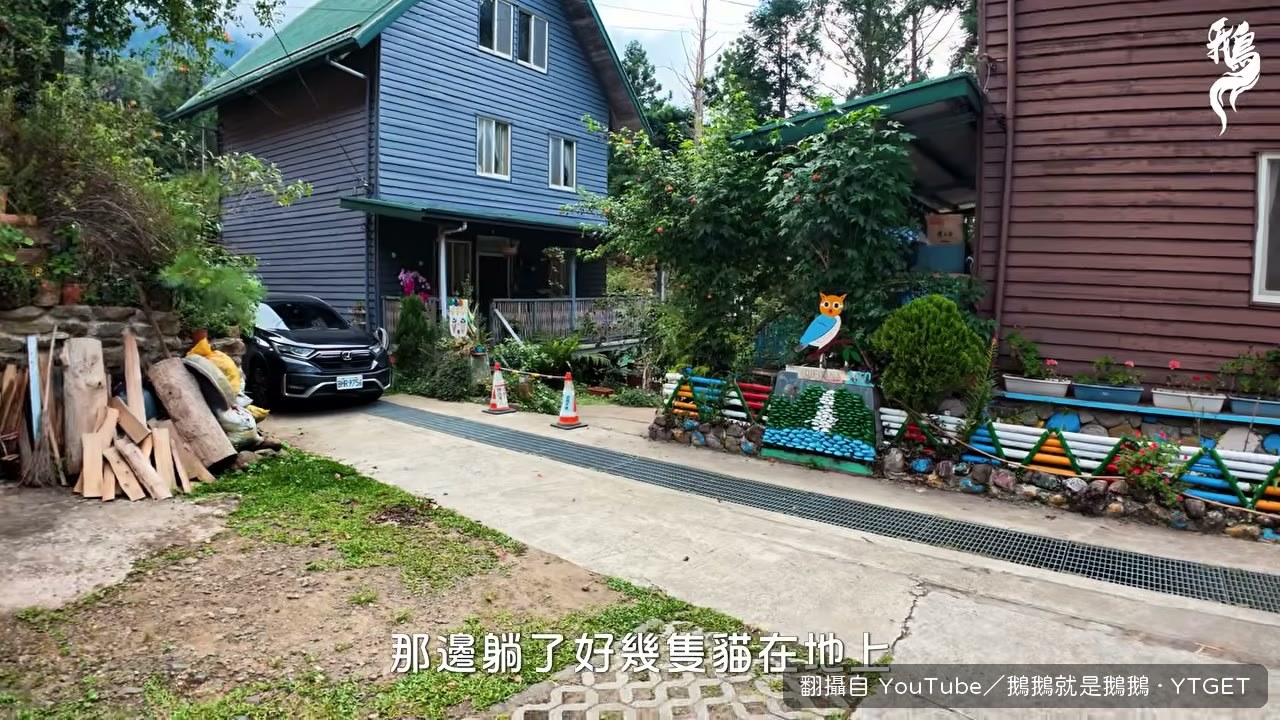 社區角落躺著好幾隻貓