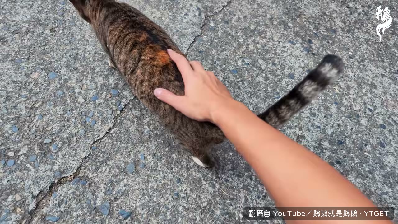 老麵麵包店門口,招牌寫著巨無霸