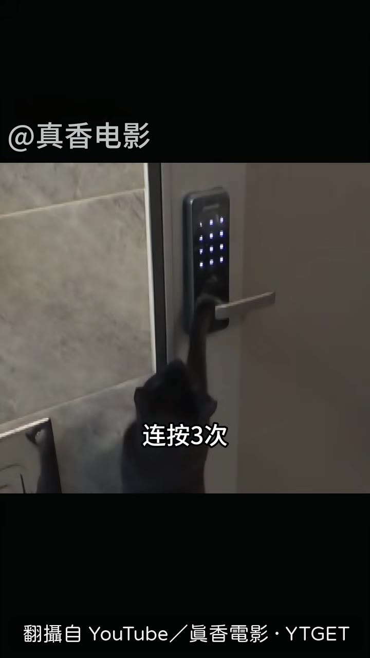 黑貓像對暗號一樣連按三次密碼鎖