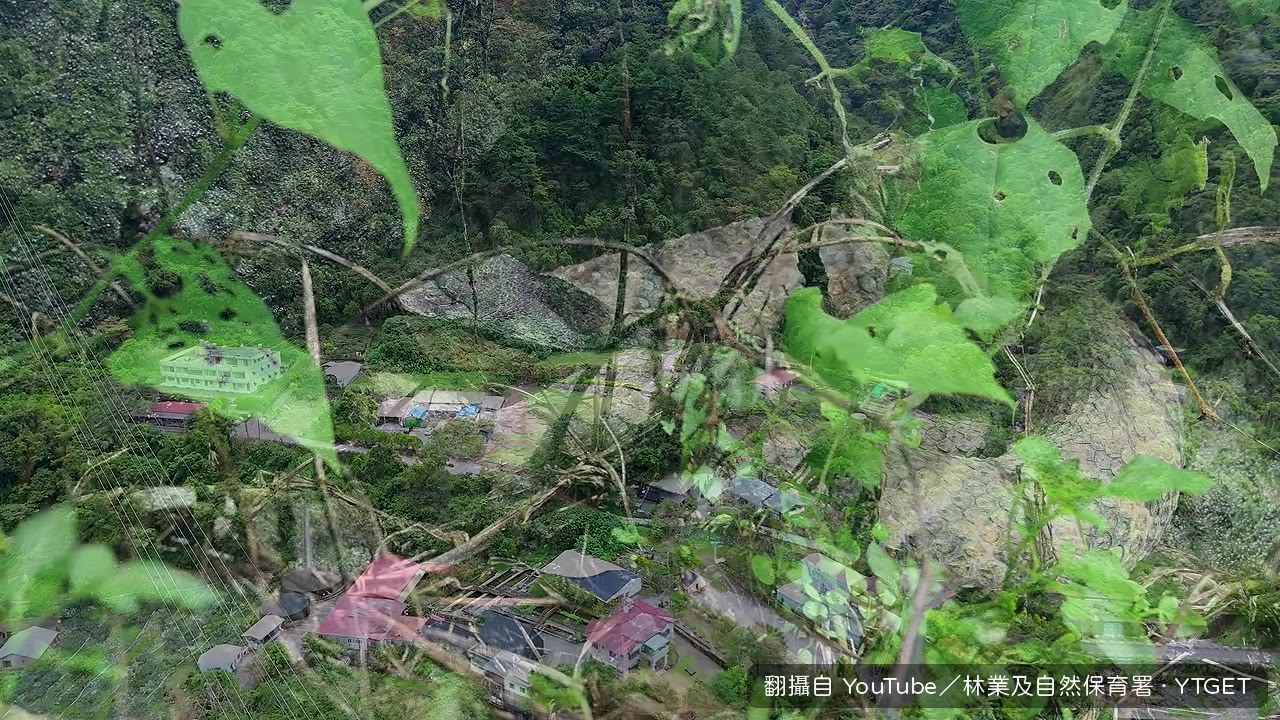 護管員立刻通報監測團隊