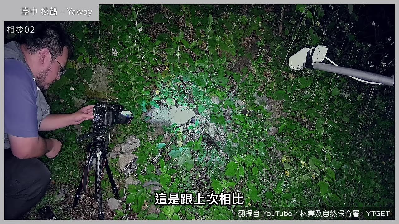 研究團隊討論螞蟻入侵的應對方式