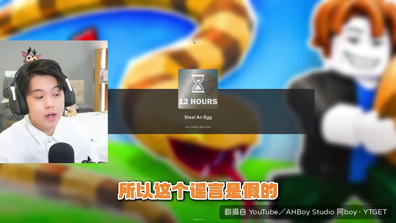 開蛋開到重複的海豚