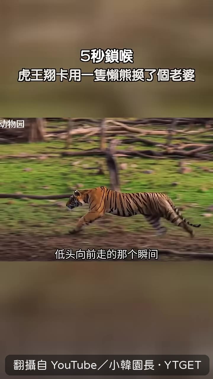 響卡從灌木叢竄出鎖喉
