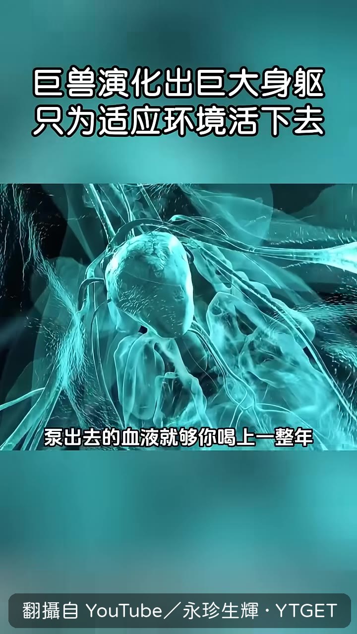 阿根廷龍是目前最大陸地生物