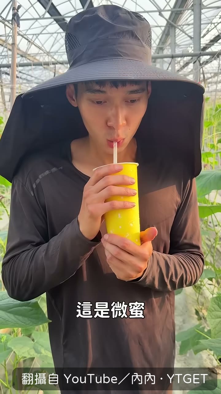 內內比較微蜜和拌蜜兩種版本的差別