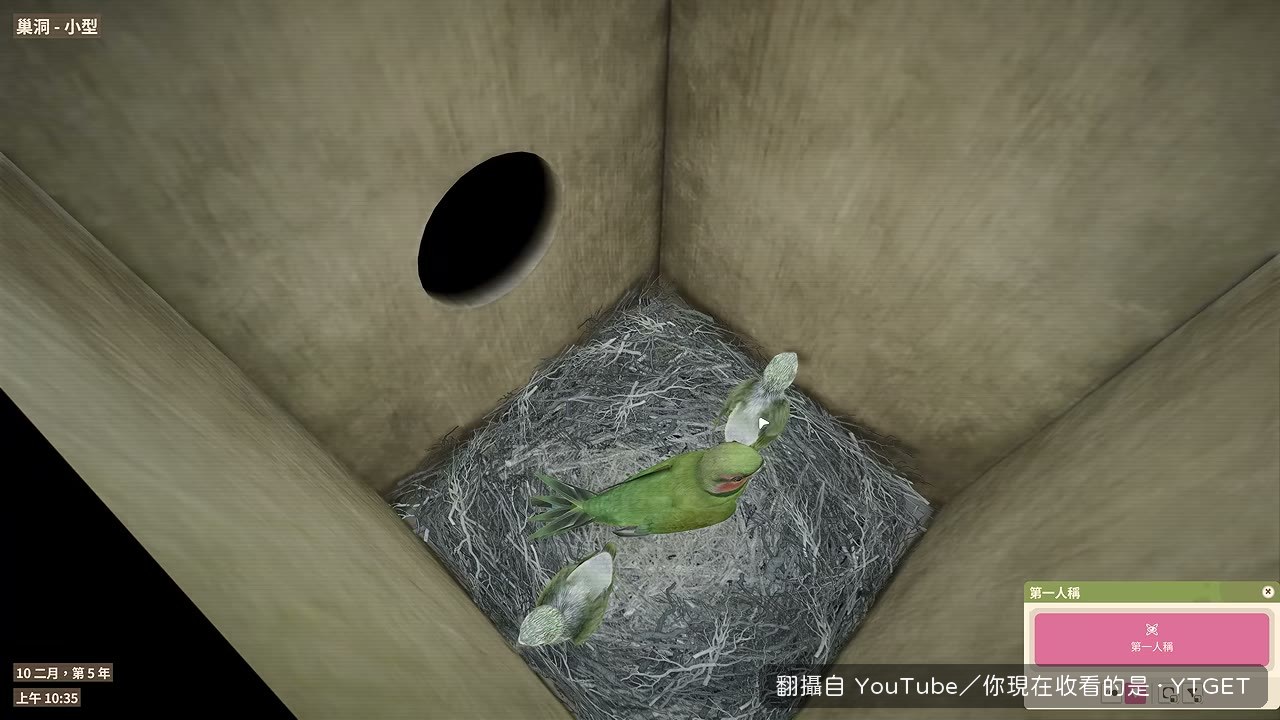 從巢洞攝影機看到剛孵化的幼鳥