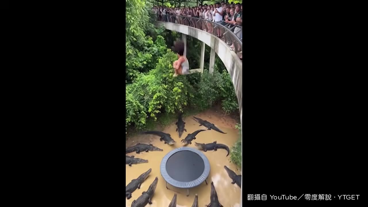 鱷魚旁邊的人是真是假