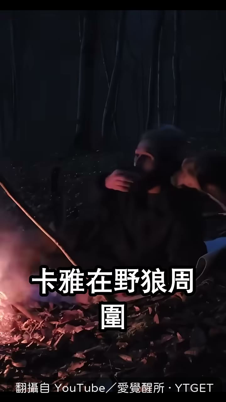 卡雅繞圈狂吠，傑克斯揮手電筒