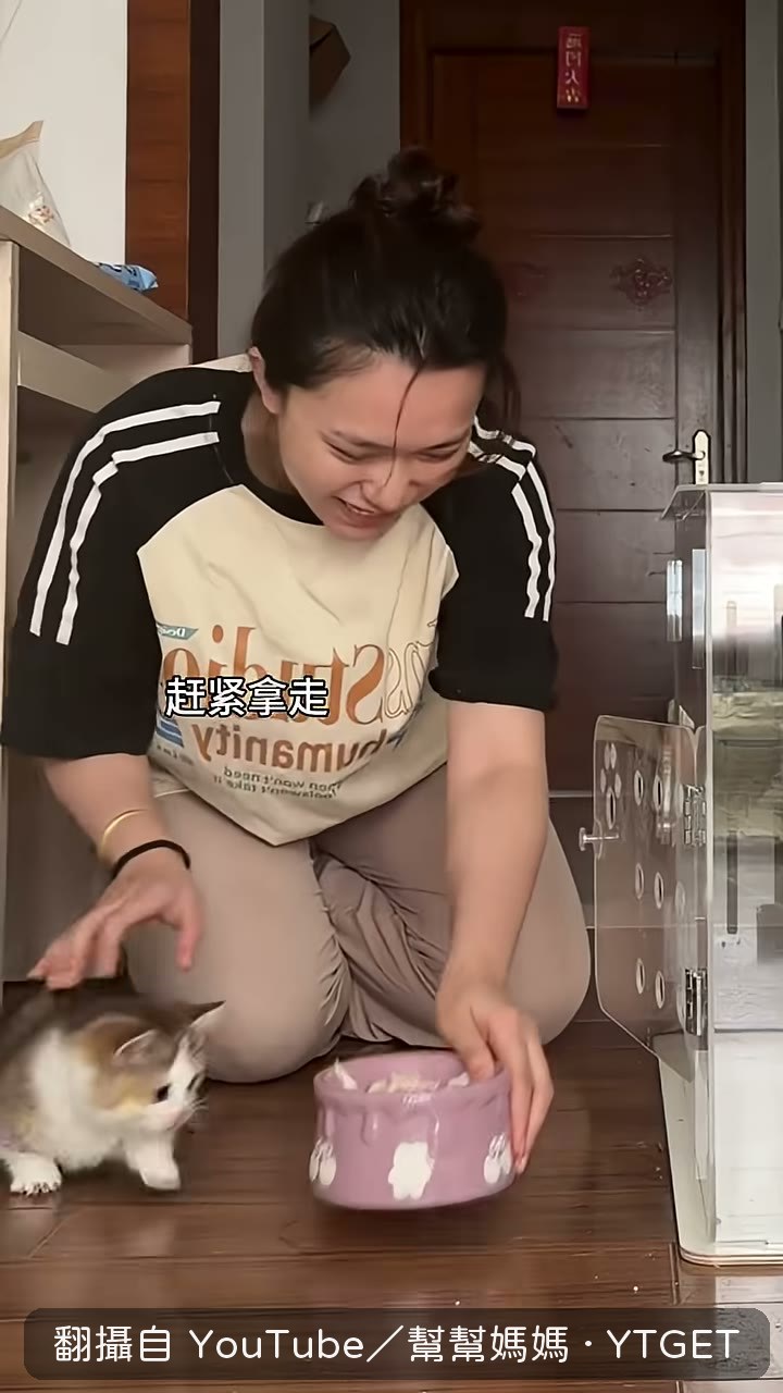 咪對著空碗喊「咪的發呢」