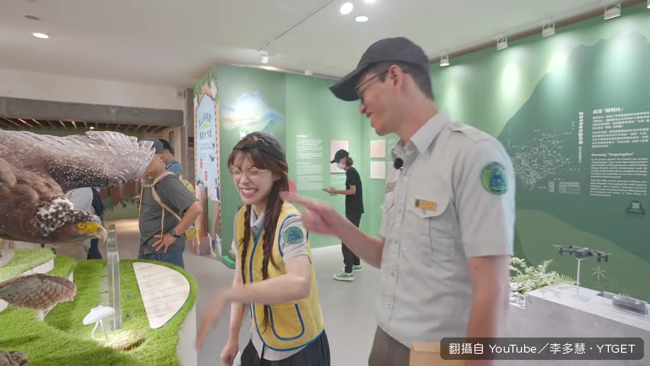 多慧正式上場解說