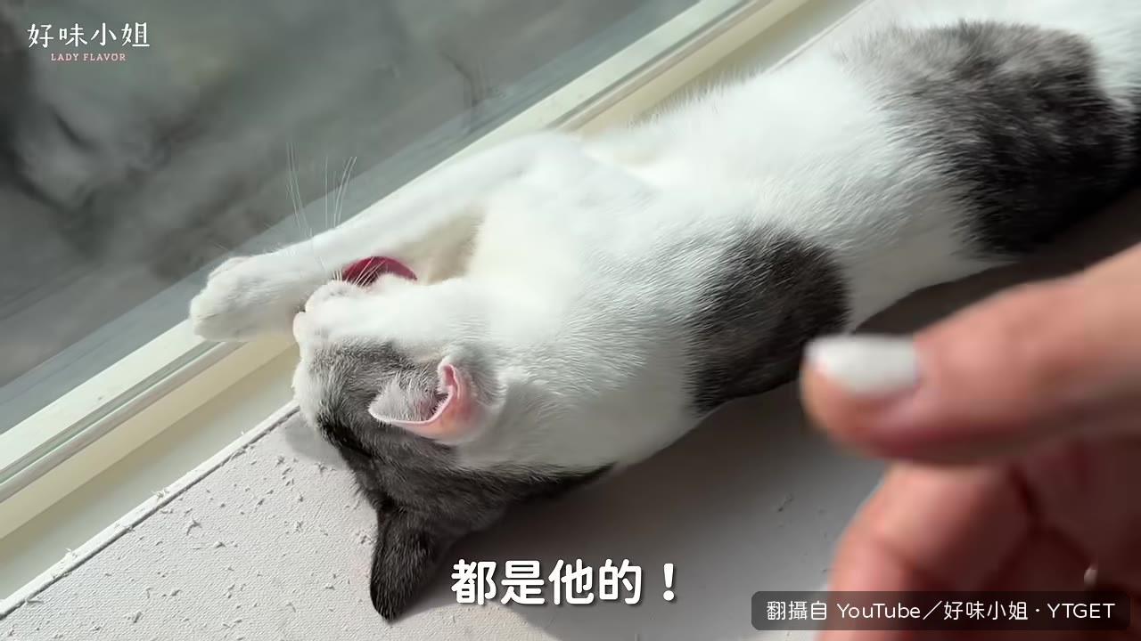 一牙馬上衝進房間卡位
