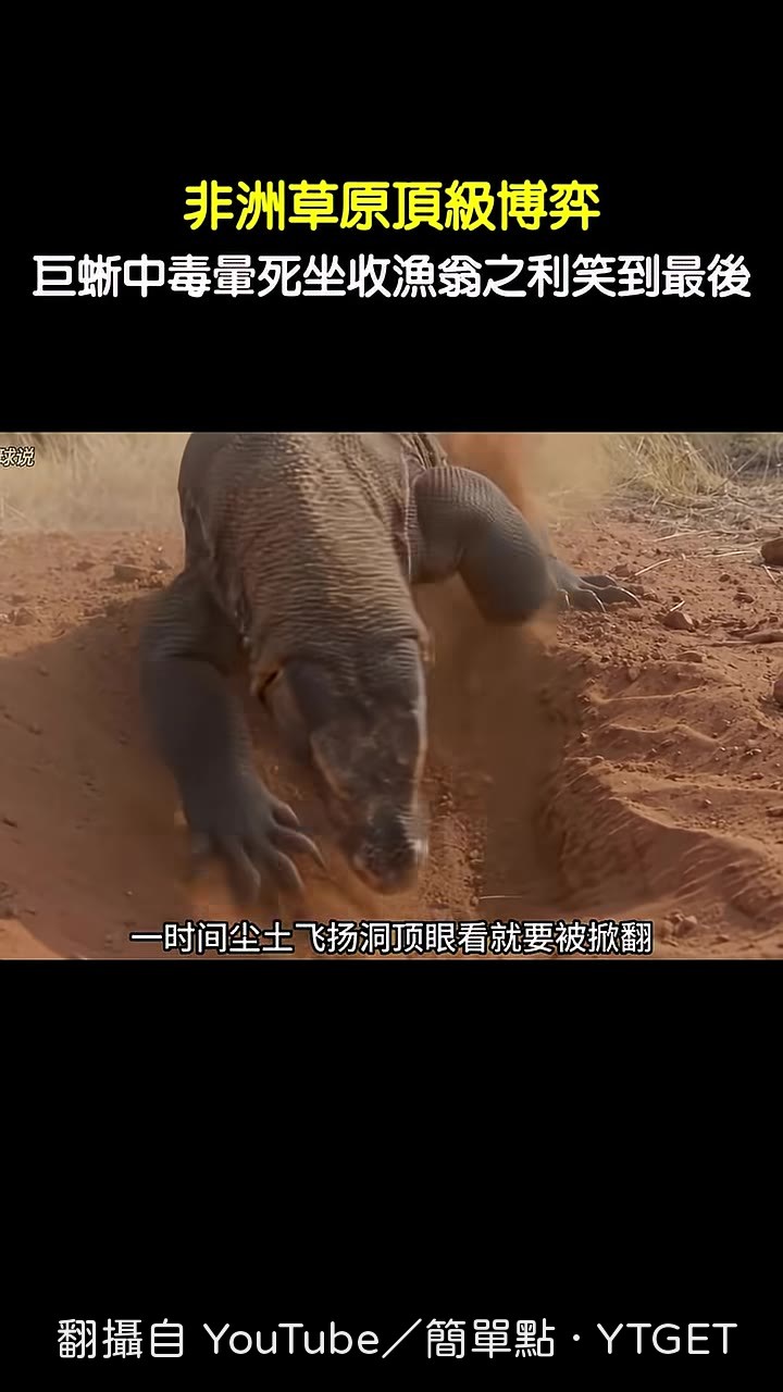 眼鏡蛇竄出撐開兜帽反擊