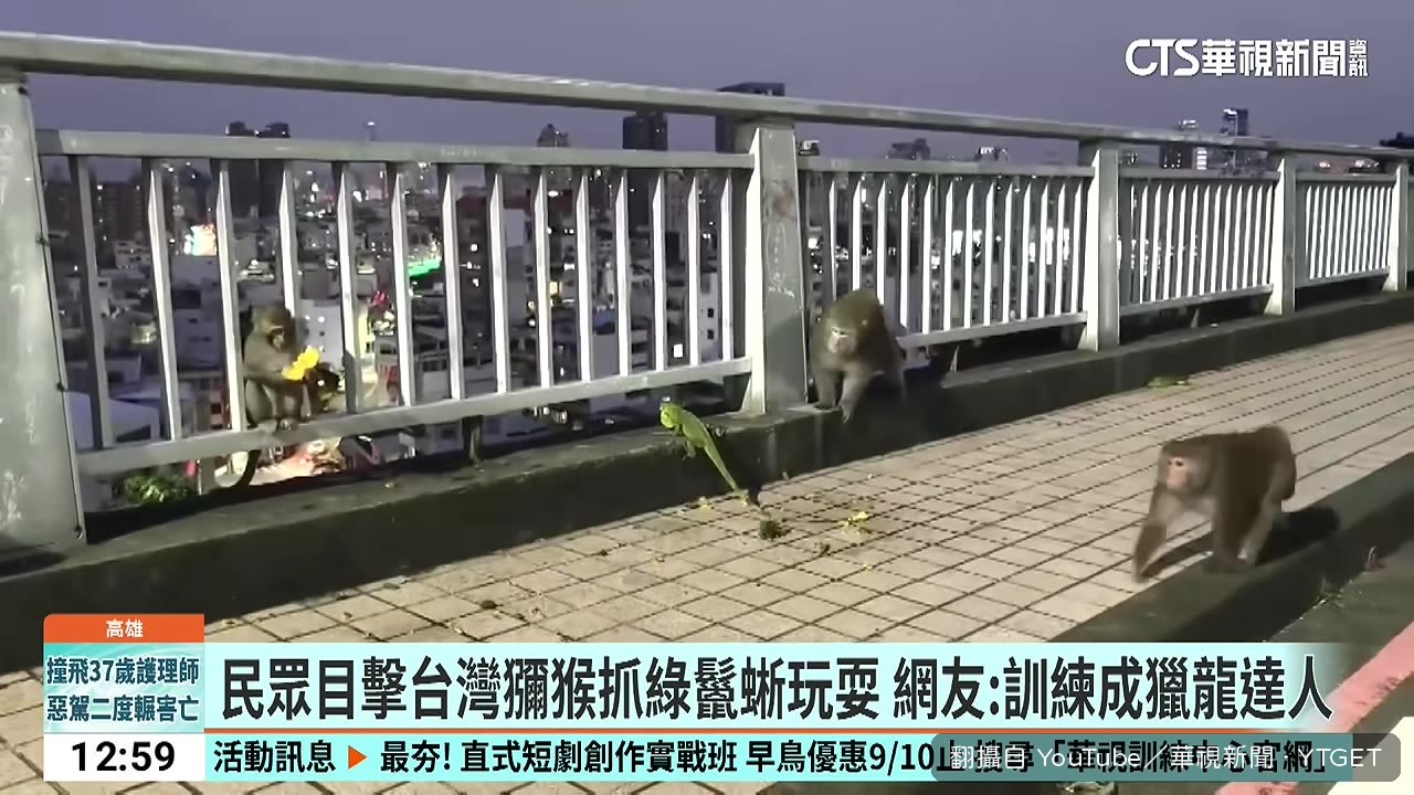 目擊民眾受訪還原現場